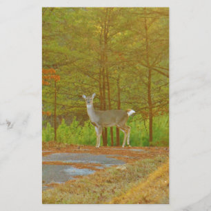 DSCF4041.JPG STATIONERY