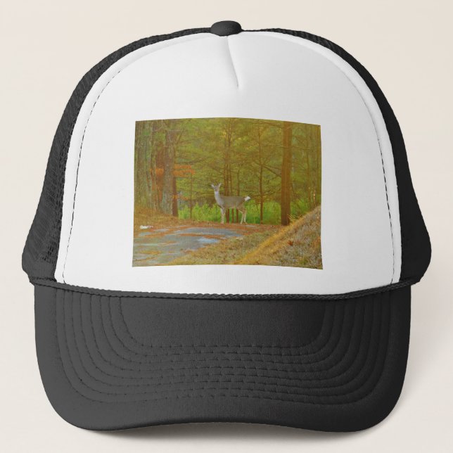 DSCF4041.JPG TRUCKER HAT (Front)