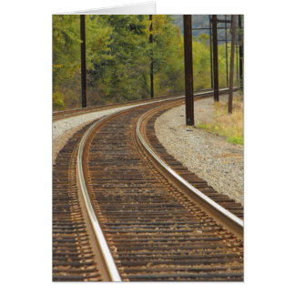 DSCF6914,~in your words~