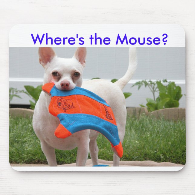 DSCN6701, Where's the Mouse? Mouse Mat (Front)