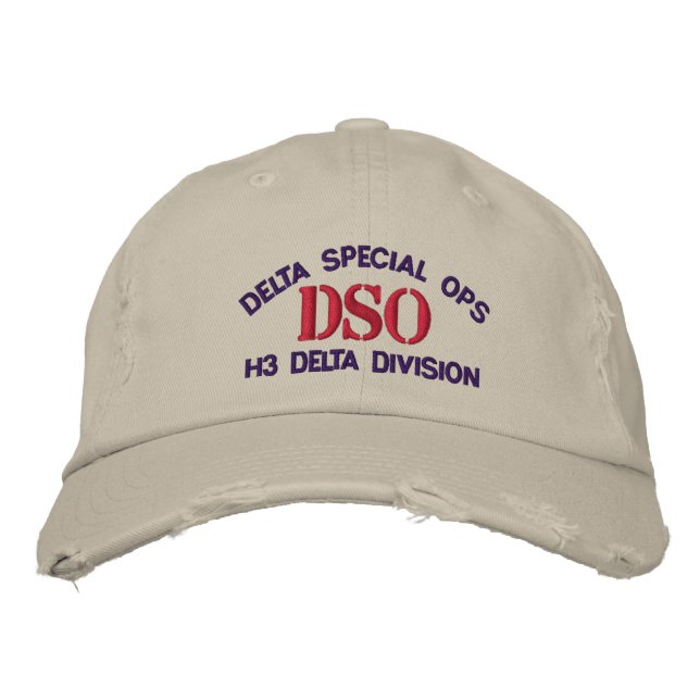 DSO Halo Delta Division Hat (Front)