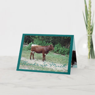 Dsta-ThankYou-customise Thank You Card