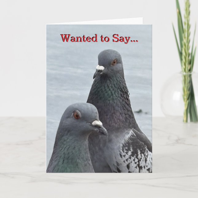 "Dual Pigeons" HELLO Greeting card (Front)