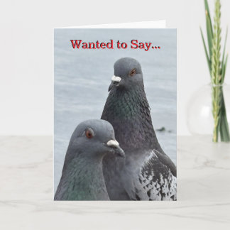 "Dual Pigeons" HELLO Greeting card