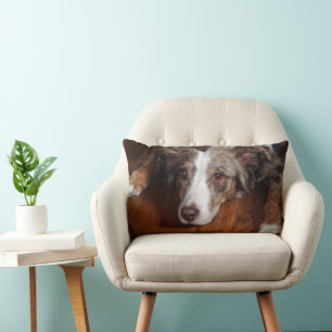 dual sided australian shepherd red merle laying fl lumbar cushion