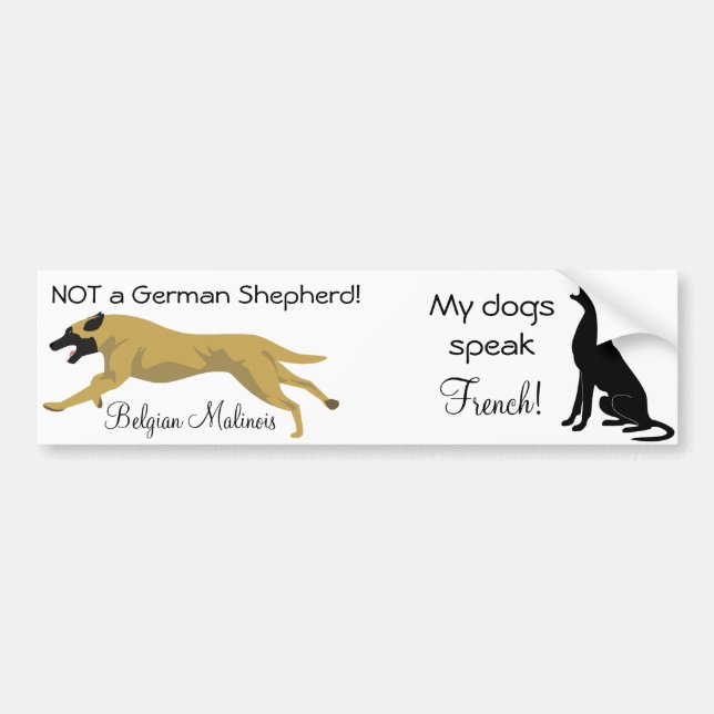 Dual Sticker: NOT a shepherd / dog speaks french Bumper Sticker (Front)