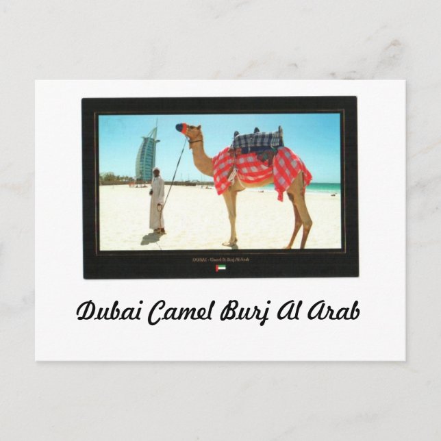 Dubai Camel Burj Al Arab Postcard (Front)