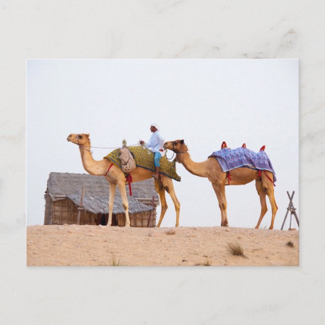 Dubai Desert Postcard (Front)