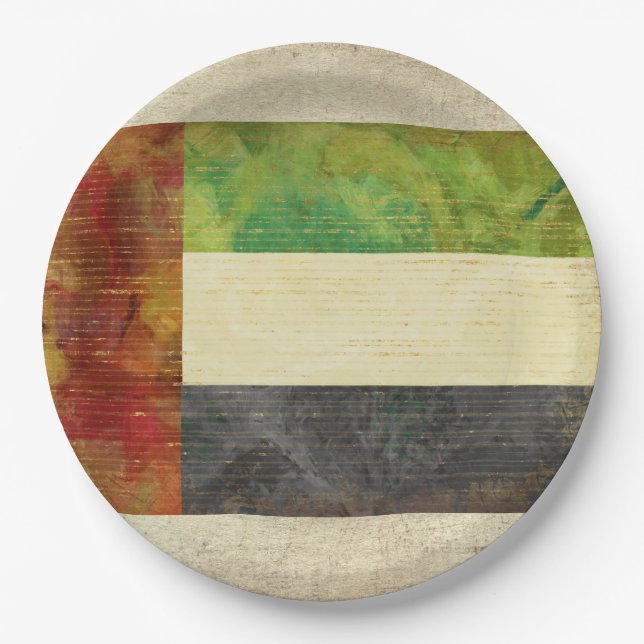 Dubai UAE Flag Paper Plates (Front)
