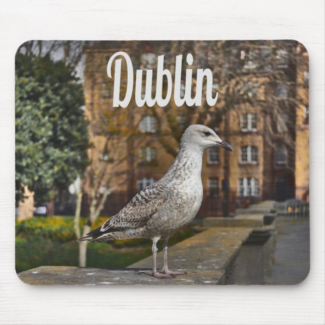Dublin Ireland Bird on Brick Wall Mouse Mat (Front)