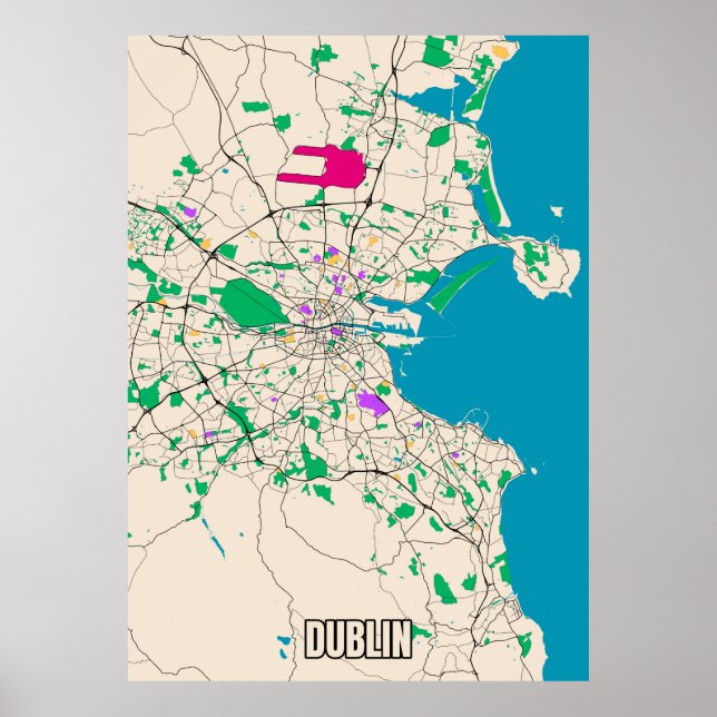 Dublin Map Poster (Front)