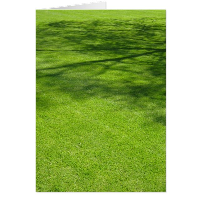 Dublin Shadows (Front)