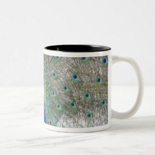 Dubrovnik,Croatia,Lokrum Island,colourful Two-Tone Coffee Mug