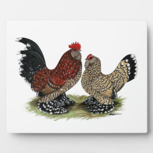 D'Uccle Bantams: Mille Fleur Plaque