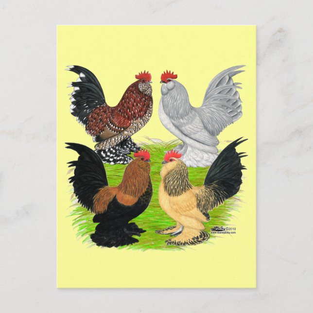 D'Uccles Four Roosters Postcard (Front)