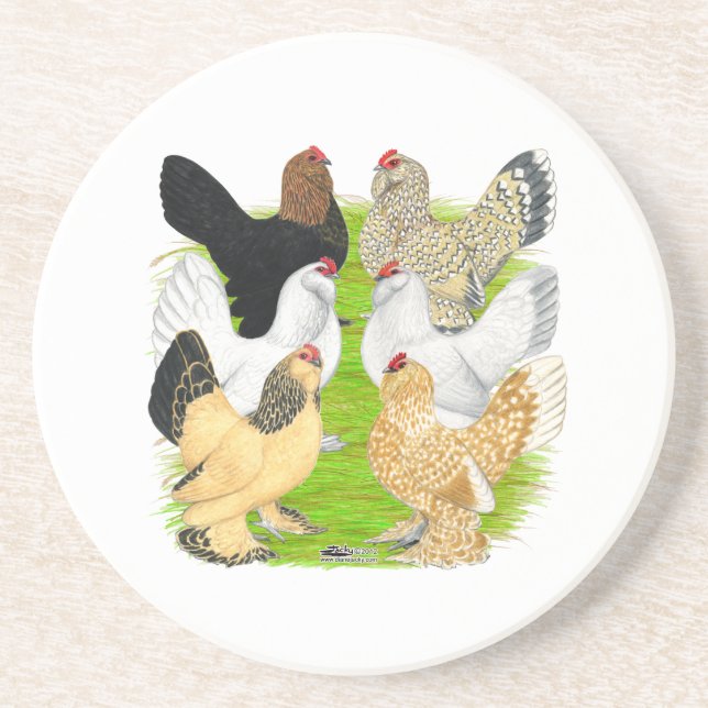 D'Uccles Six Hens Coaster (Front)
