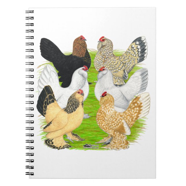 D'Uccles Six Hens Notebook (Front)