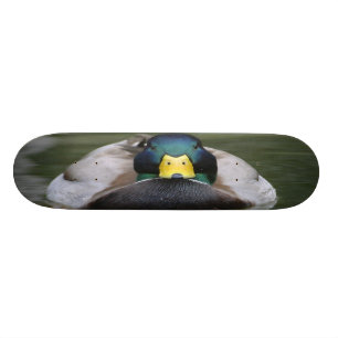 duck 2 skate skateboard