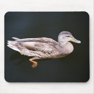 Duck 907b mouse mat