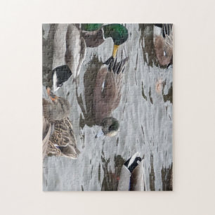 Duck, American Wigeon, Bird, Kennewick, WA Jigsaw Puzzle