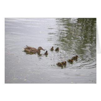 Duck and ducklings Card