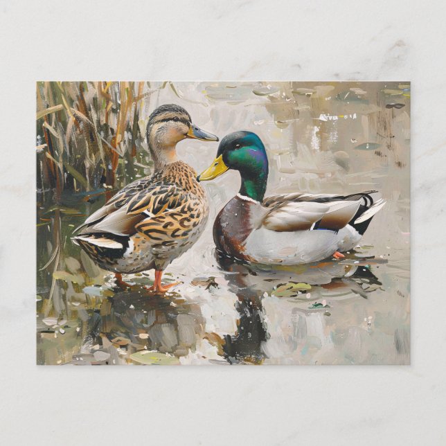 Duck and Mallard Wildlife Painting Postcard (Front)