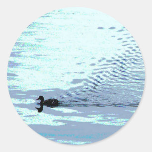 Duck and Ripples Classic Round Sticker