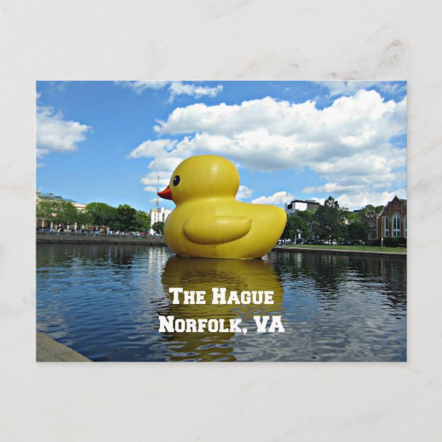 Duck at The Hague, Norfolk, VA Postcard (Front)