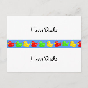 Duck Banner, I Love Ducks, I Love Ducks Postcard