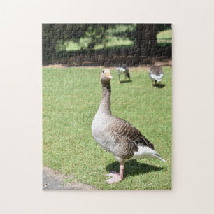 Duck Bird Kew Gardens London Photography Jigsaw Puzzle