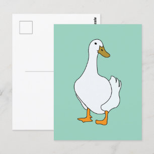 Duck Bird White Duck Postcard