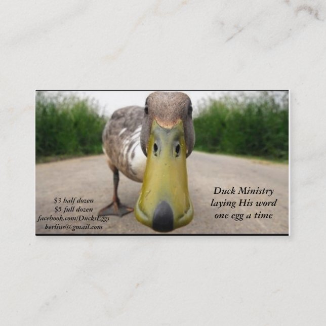 duck business cards (Back)