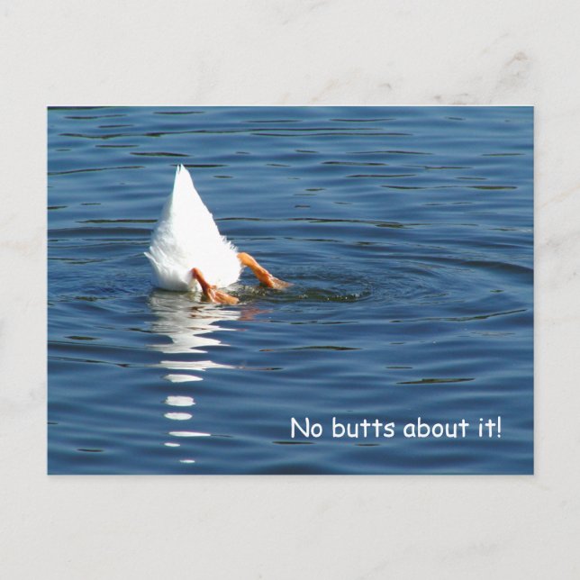 Duck Butt Humour Post Card (Front)
