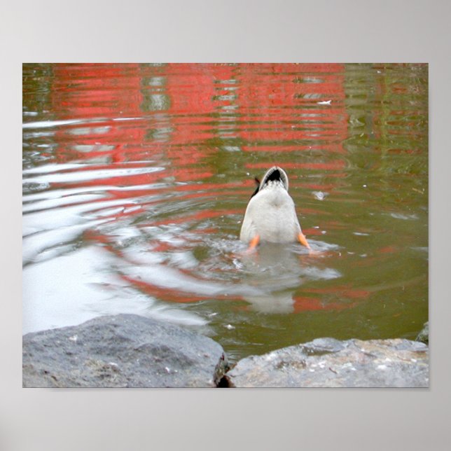 Duck Butt Poster (Front)