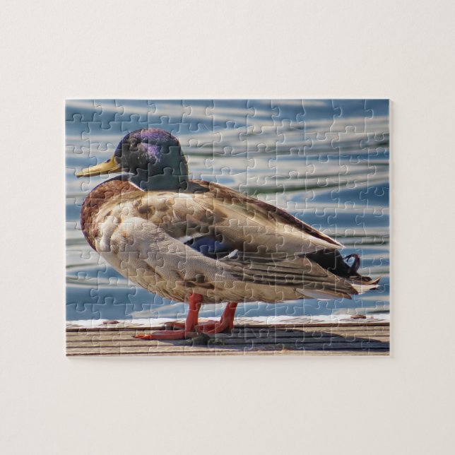 Duck By The Sea Jigsaw Puzzle (Horizontal)