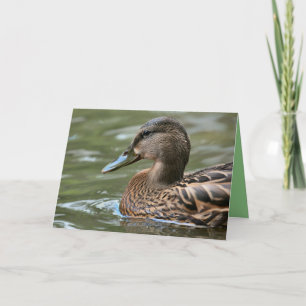 Duck Card