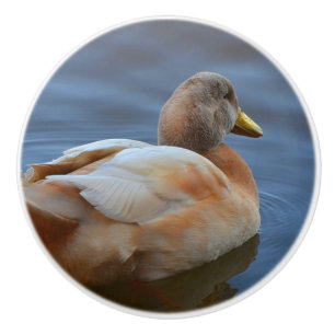 Duck Ceramic Knob