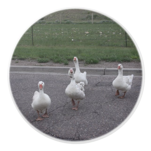 Duck Ceramic Knob (Front)