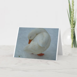 Duck Christmas Card