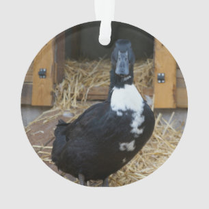 Duck Christmas Ornament