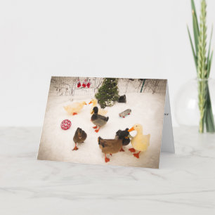Duck Christmas Party Christmas Card
