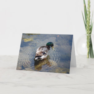 Duck Circles Card