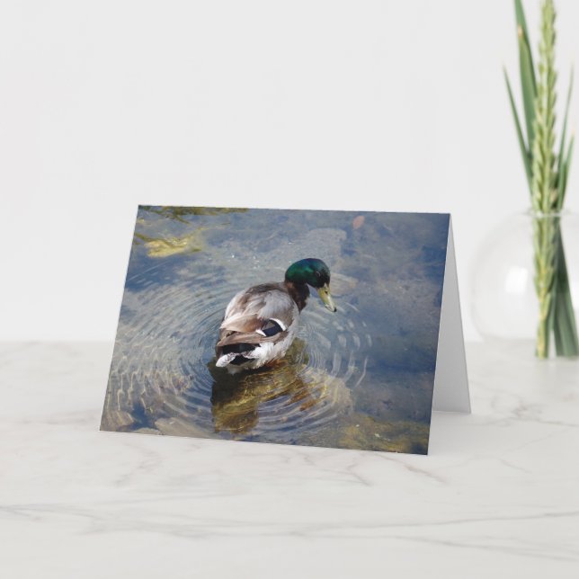 Duck Circles Card (Front)