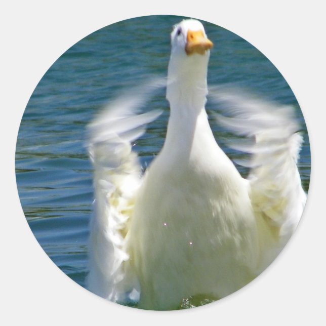 duck clapping sticker (Front)