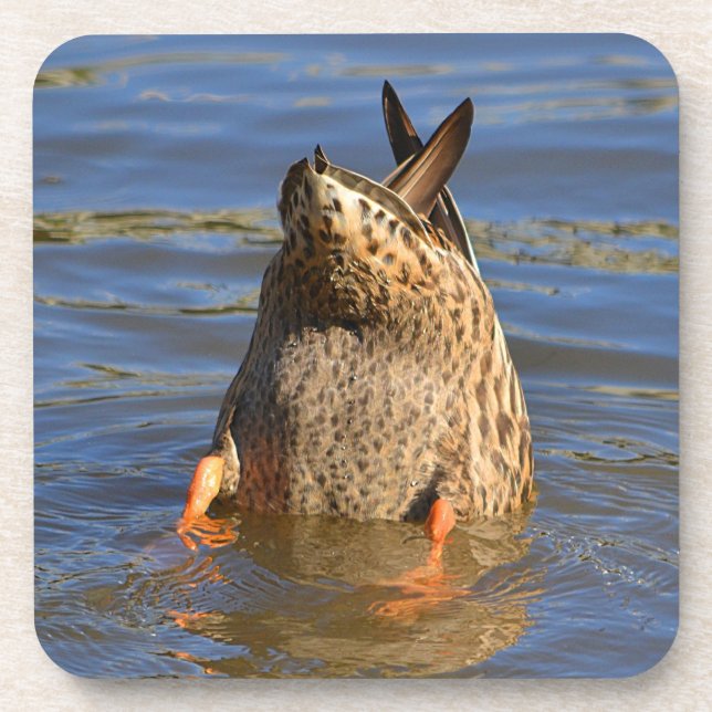 Duck Coaster (Front)
