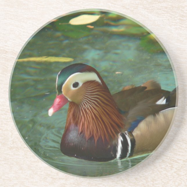 Duck Coasters (Front)