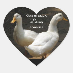 Duck Couple: Love Stickers