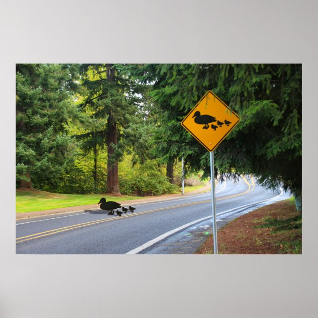 Duck Crossing Poster (Front)