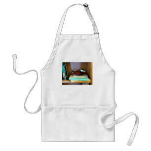 Duck Decoy on Bookshelf Standard Apron