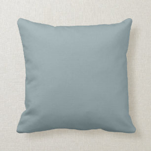 Duck egg blue decorator colour cushion